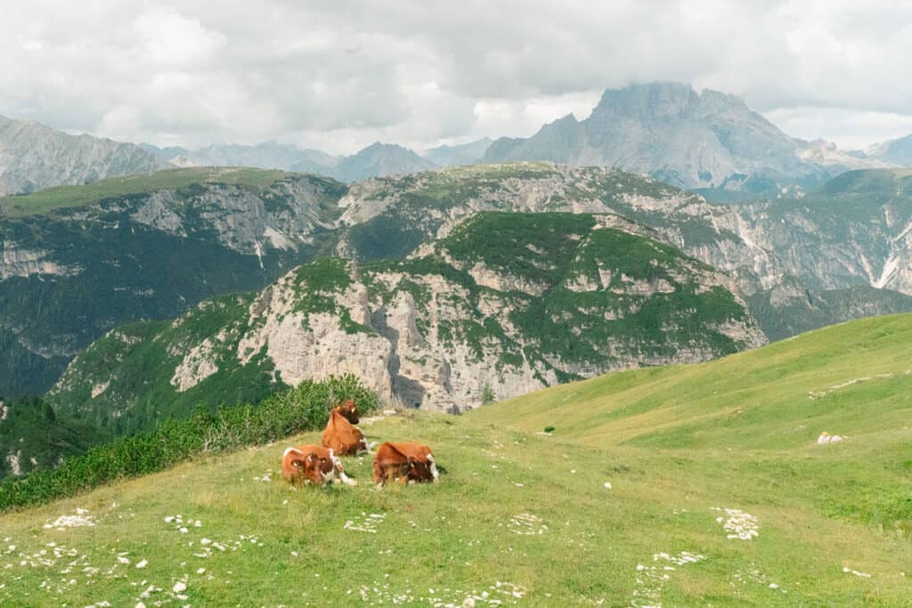 how is the hike to tre cime di lavaredo