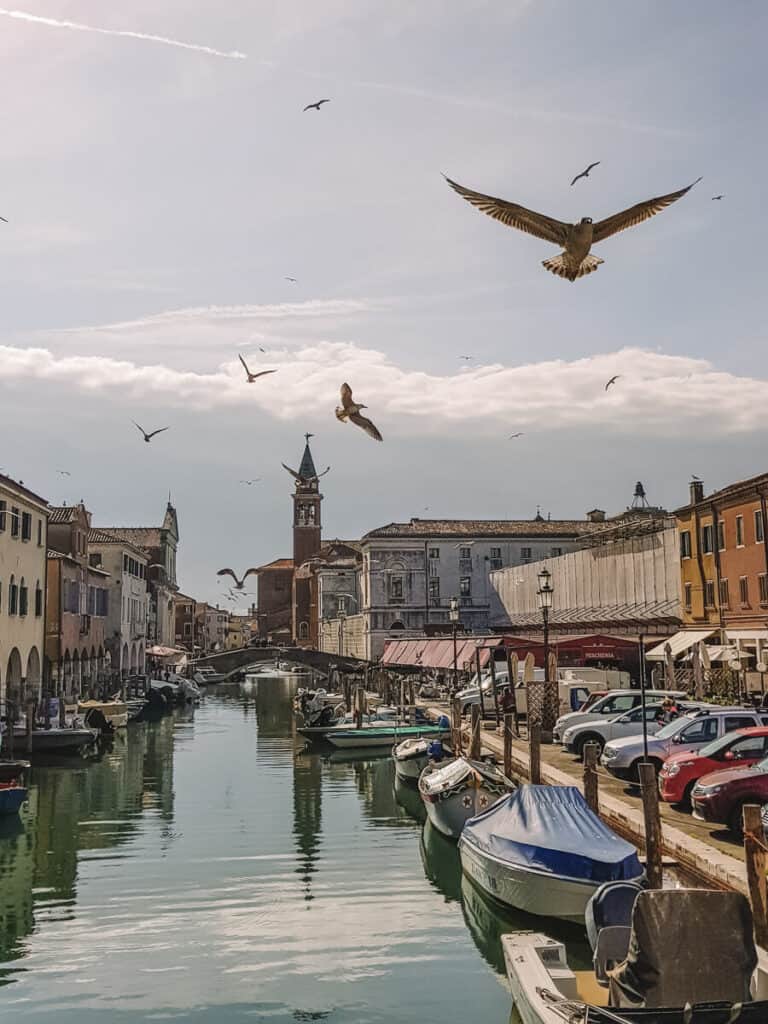 what to do in chioggia