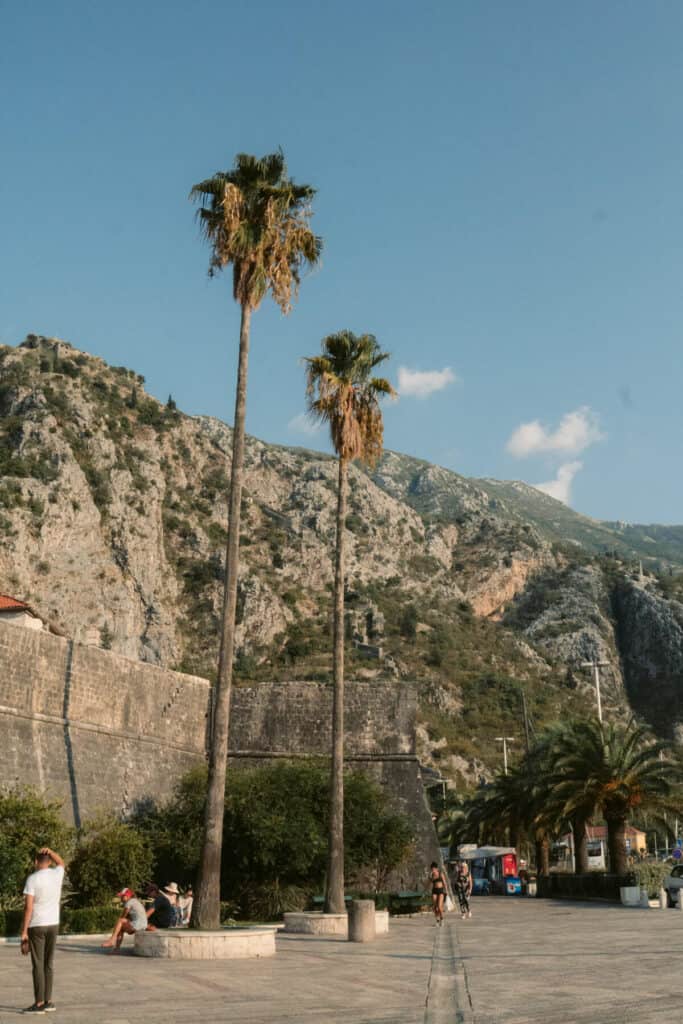 kotor one day itinerary