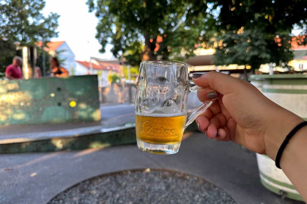zalec beer fountain in slovenia