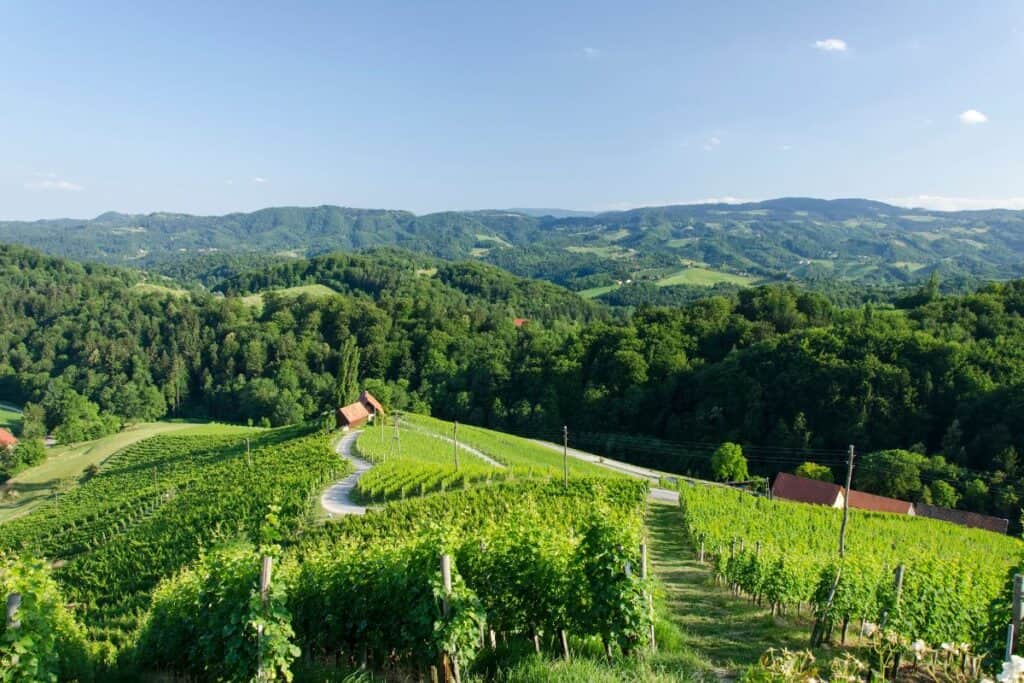 heart shaped road near maribor in slovenia