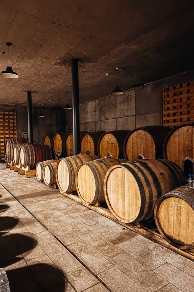 winery in vipava valley in slovenia